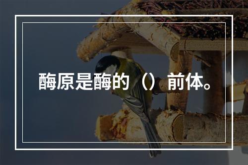 酶原是酶的（）前体。