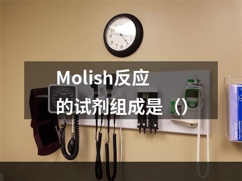 Molish反应的试剂组成是（）