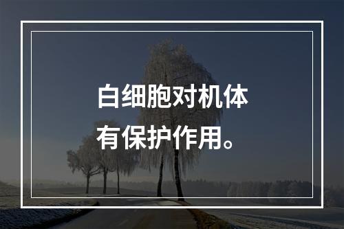 白细胞对机体有保护作用。