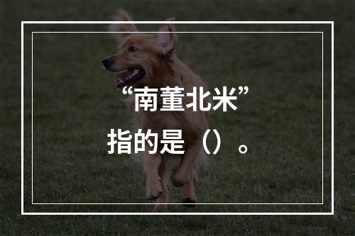 “南董北米”指的是（）。