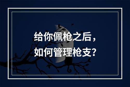 给你佩枪之后，如何管理枪支？