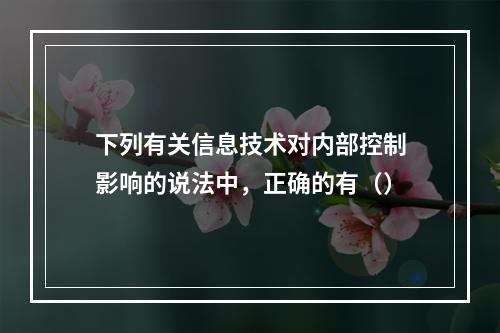 下列有关信息技术对内部控制影响的说法中，正确的有（）