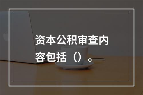 资本公积审查内容包括（）。