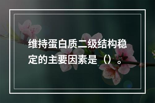 维持蛋白质二级结构稳定的主要因素是（）。