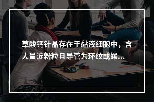 草酸钙针晶存在于黏液细胞中，含大量淀粉粒且导管为环纹或螺纹的