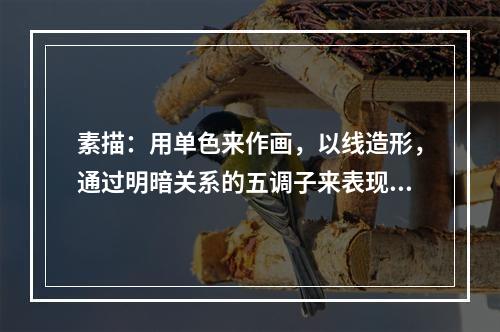 素描：用单色来作画，以线造形，通过明暗关系的五调子来表现物体