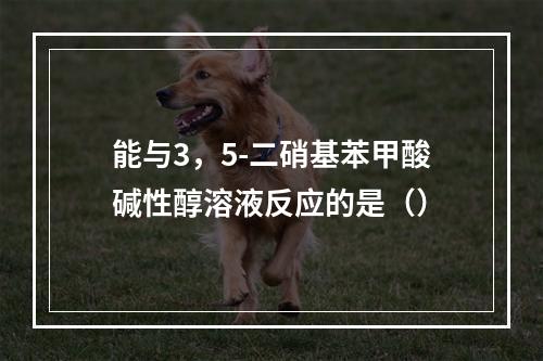 能与3，5-二硝基苯甲酸碱性醇溶液反应的是（）