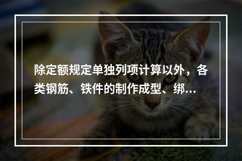 除定额规定单独列项计算以外，各类钢筋、铁件的制作成型、绑扎、