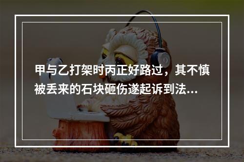 甲与乙打架时丙正好路过，其不慎被丢来的石块砸伤遂起诉到法院要