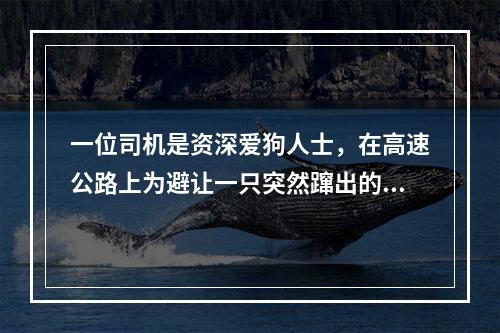 一位司机是资深爱狗人士，在高速公路上为避让一只突然蹿出的小狗