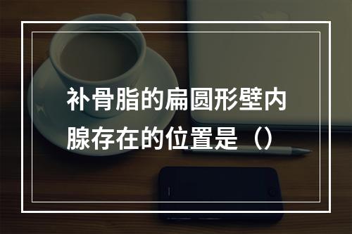 补骨脂的扁圆形壁内腺存在的位置是（）