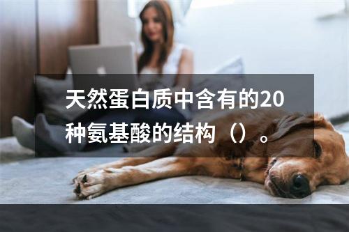 天然蛋白质中含有的20种氨基酸的结构（）。