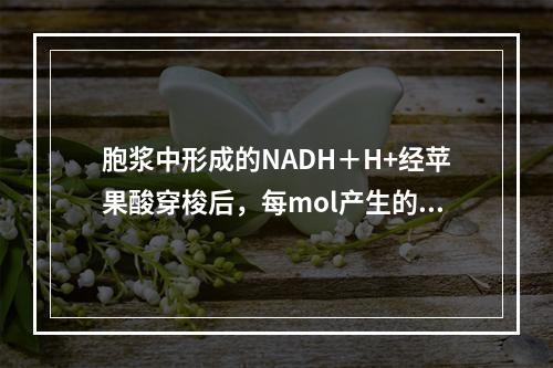 胞浆中形成的NADH＋H+经苹果酸穿梭后，每mol产生的AT