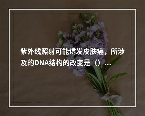 紫外线照射可能诱发皮肤癌，所涉及的DNA结构的改变是（）。