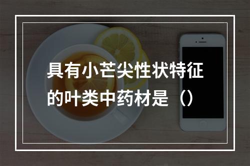 具有小芒尖性状特征的叶类中药材是（）