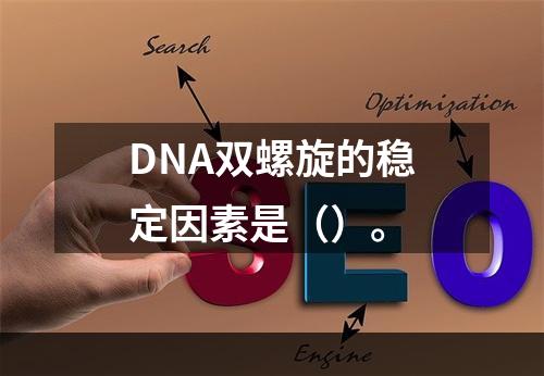 DNA双螺旋的稳定因素是（）。