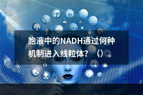 胞液中的NADH通过何种机制进入线粒体？（）。