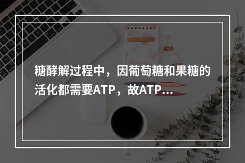 糖酵解过程中，因葡萄糖和果糖的活化都需要ATP，故ATP浓度