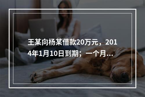 王某向杨某借款20万元，2014年1月10日到期；一个月后，