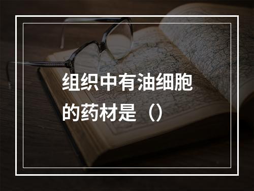 组织中有油细胞的药材是（）