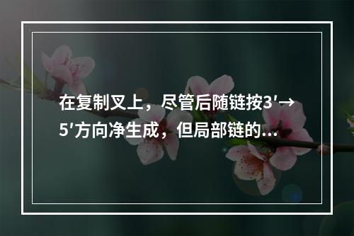 在复制叉上，尽管后随链按3′→5′方向净生成，但局部链的合成