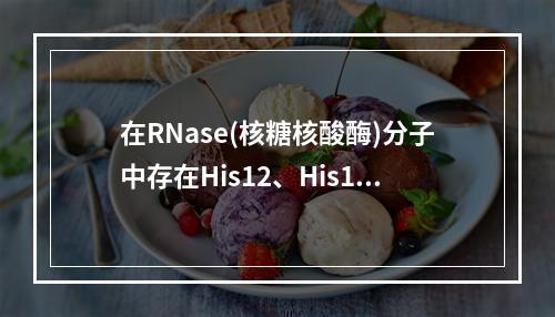 在RNase(核糖核酸酶)分子中存在His12、His119