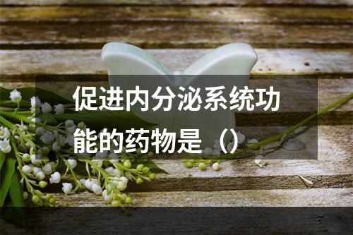 促进内分泌系统功能的药物是（）