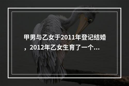 甲男与乙女于2011年登记结婚，2012年乙女生育了一个女儿