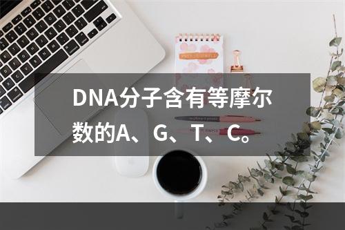 DNA分子含有等摩尔数的A、G、T、C。