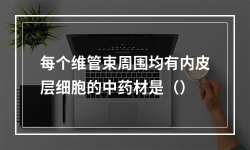 每个维管束周围均有内皮层细胞的中药材是（）