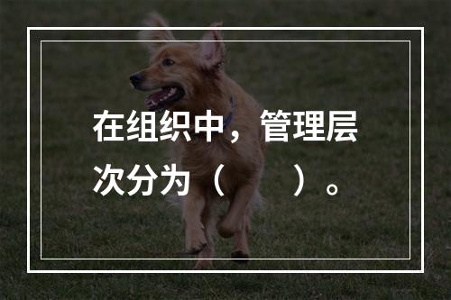 在组织中，管理层次分为（　　）。