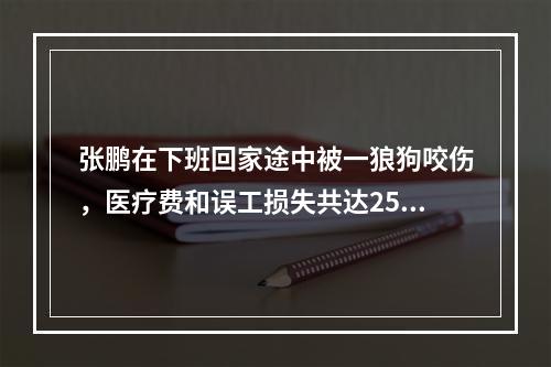 张鹏在下班回家途中被一狼狗咬伤，医疗费和误工损失共达2500