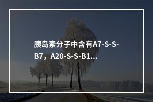 胰岛素分子中含有A7-S-S-B7，A20-S-S-B19和