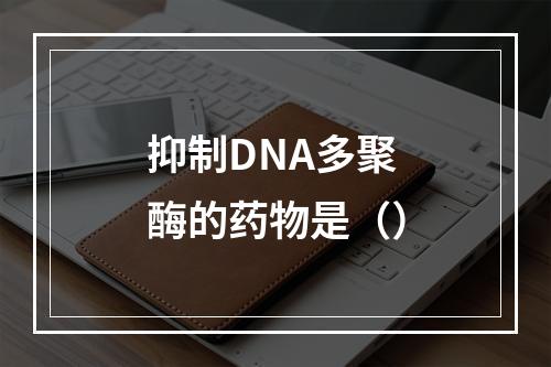 抑制DNA多聚酶的药物是（）