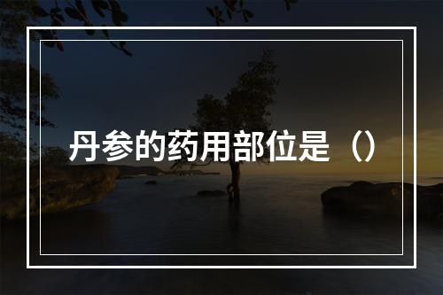 丹参的药用部位是（）