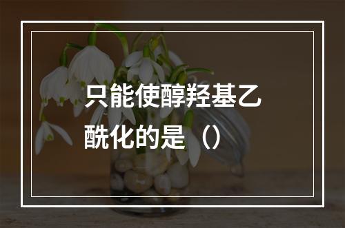 只能使醇羟基乙酰化的是（）