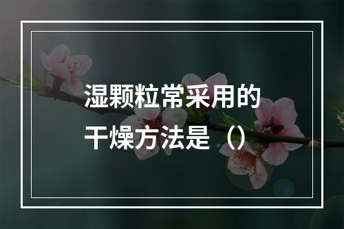 湿颗粒常采用的干燥方法是（）