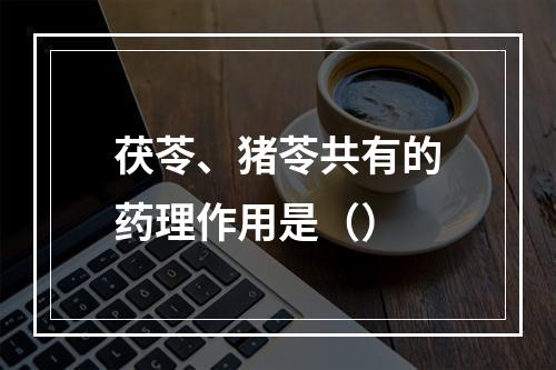 茯苓、猪苓共有的药理作用是（）