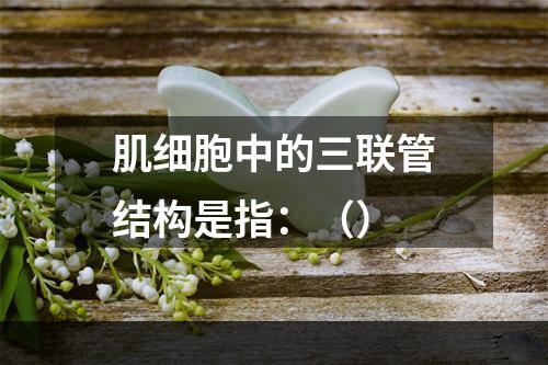 肌细胞中的三联管结构是指：（）