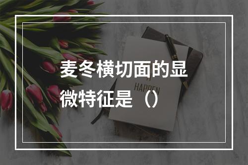 麦冬横切面的显微特征是（）