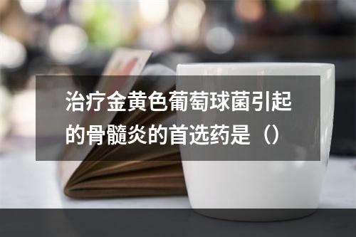 治疗金黄色葡萄球菌引起的骨髓炎的首选药是（）