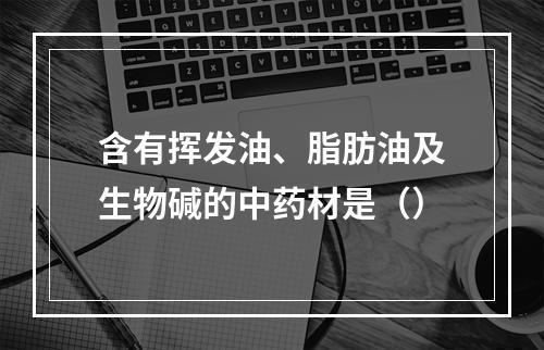 含有挥发油、脂肪油及生物碱的中药材是（）