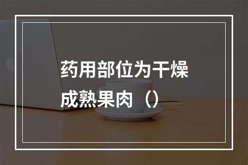 药用部位为干燥成熟果肉（）