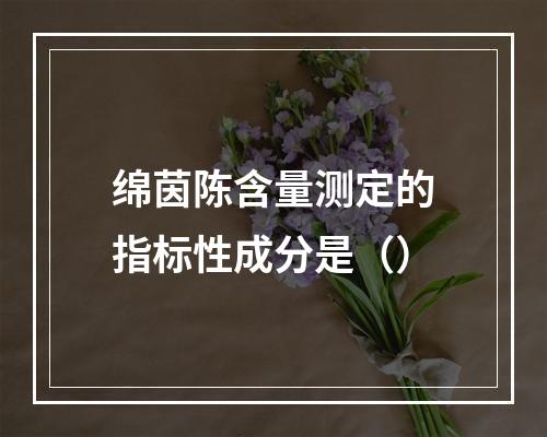 绵茵陈含量测定的指标性成分是（）