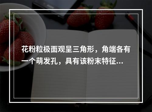 花粉粒极面观呈三角形，角端各有一个萌发孔，具有该粉末特征的药