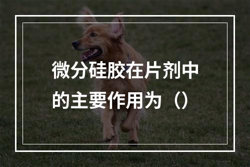 微分硅胶在片剂中的主要作用为（）