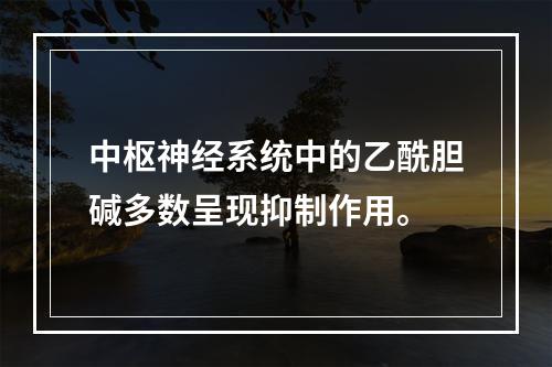 中枢神经系统中的乙酰胆碱多数呈现抑制作用。