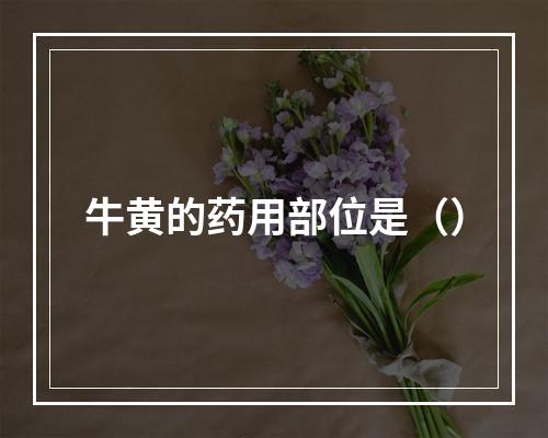 牛黄的药用部位是（）