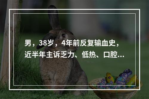 男，38岁，4年前反复输血史，近半年主诉乏力、低热、口腔及黏