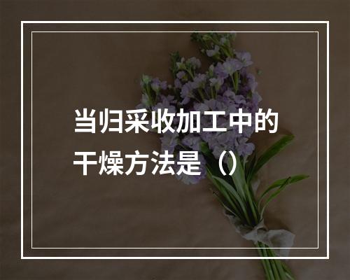 当归采收加工中的干燥方法是（）